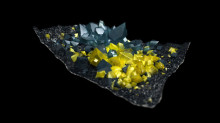Crystallised1