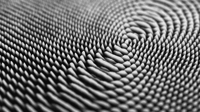 Semiconductor 20Hz 10