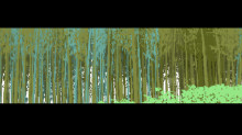 strata_birch web