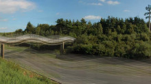 tree motorway medium11